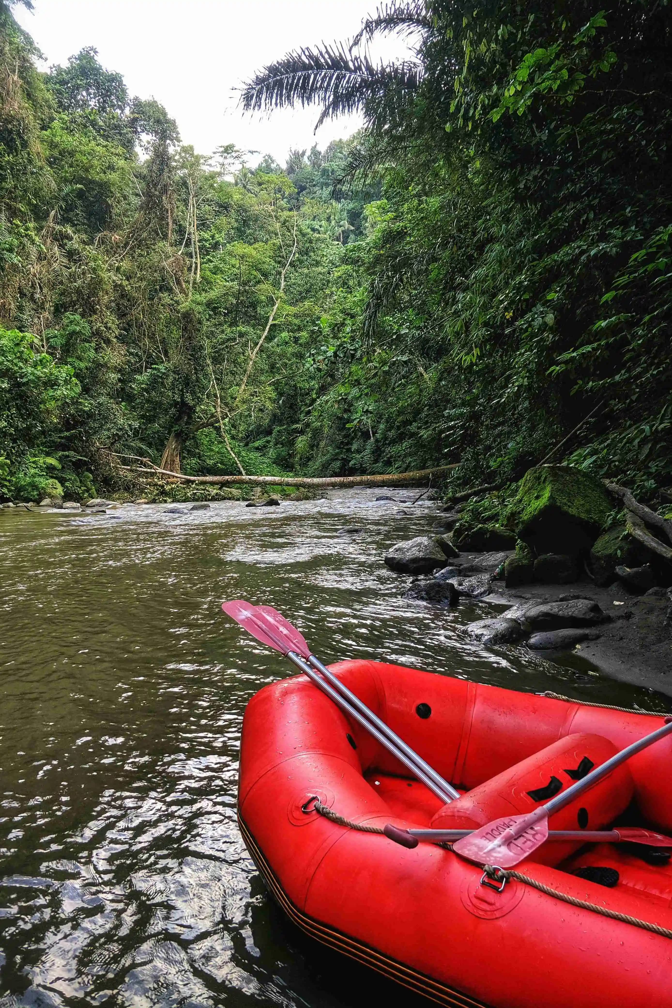 Bali White Water Rafting